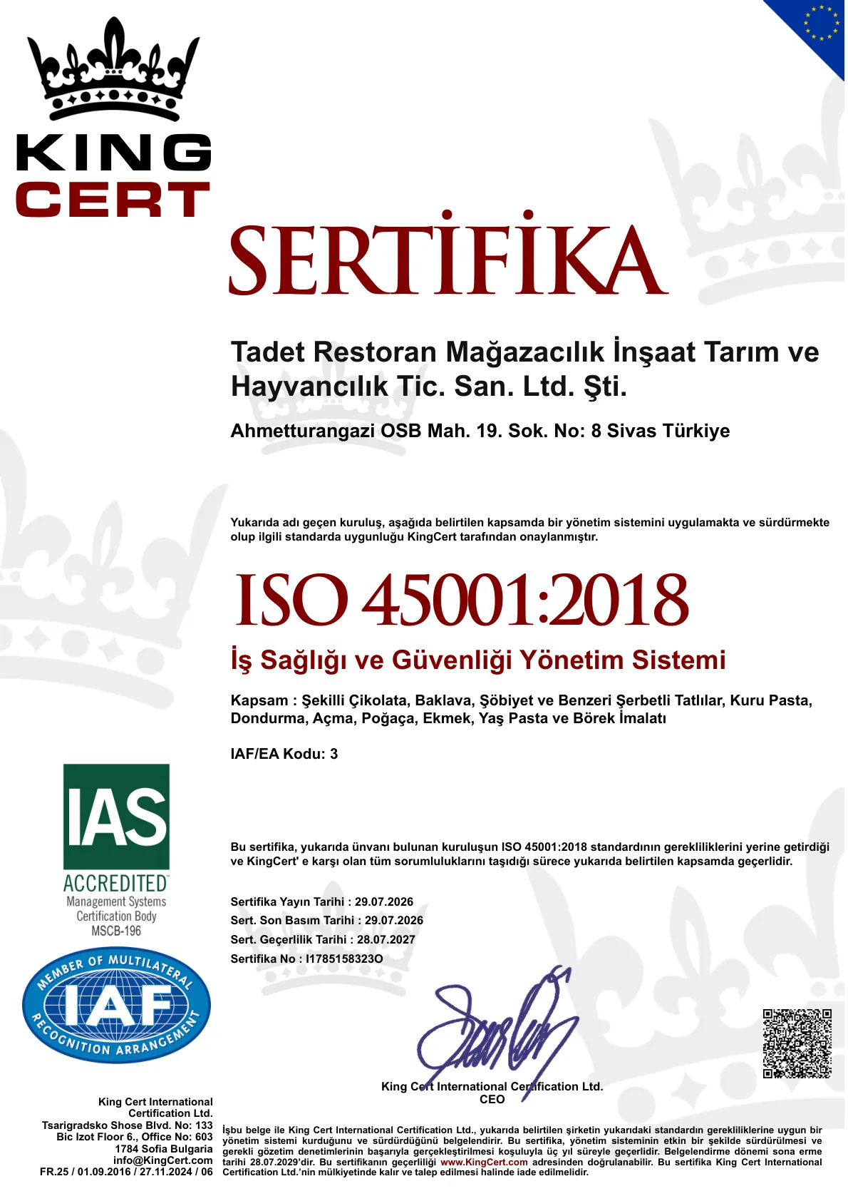 ISO 45001:2018 İş Sağlığı ve Güvenliği Yönetim Sistemi (Türkçe)
